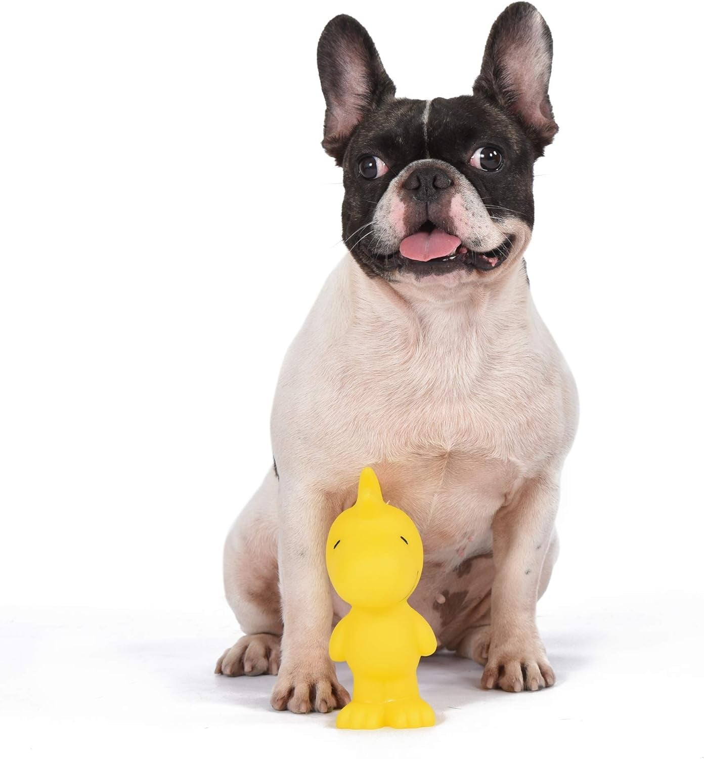 Charlie Brown Woodstock Vinyl Squeaker Dog Toy - Durable and Engaging Toy for Aggressive Chewers - Officially Licensed, 5.5 Inches