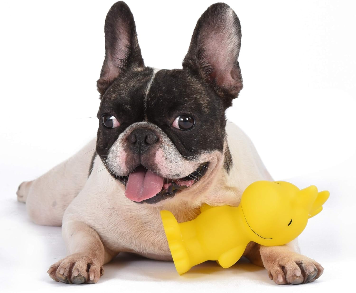 Charlie Brown Woodstock Vinyl Squeaker Dog Toy - Durable and Engaging Toy for Aggressive Chewers - Officially Licensed, 5.5 Inches